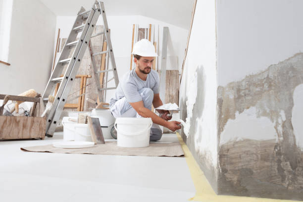 Wickes, AR Mold Removal Company